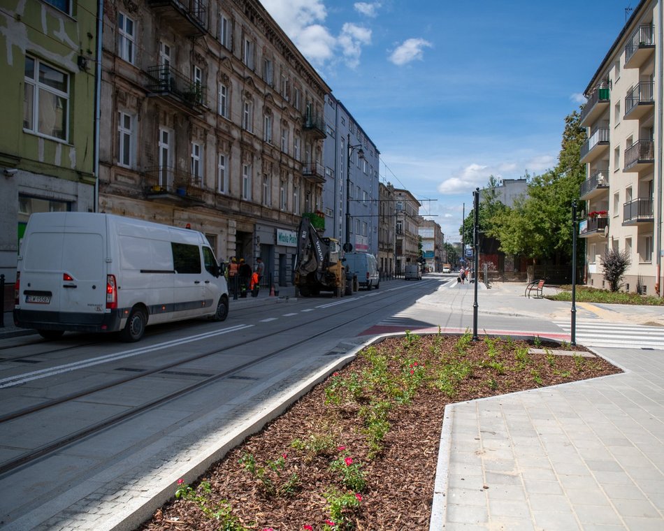 Łódź. Drzewa przy arteriach w Łodzi
