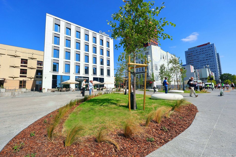 Plac przy kawiarni Starbucks w centrum Łodzi odżywa! Tyle tam zieleni!