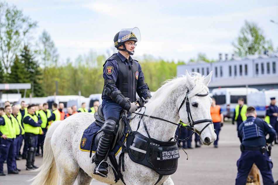 Łódź. Zwierzęta Straży Miejskiej na szkoleniu