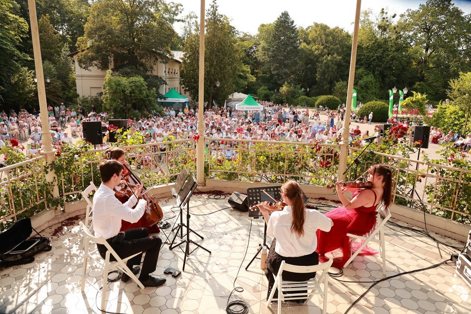 Co robić w weekend w Łodzi? Gastro dla schroniska, egipskie wakacje na Fali i więcej