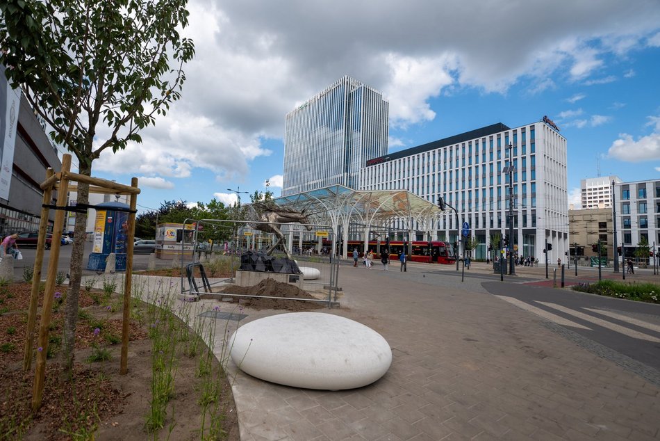 Przy Stajni Jednorożców w Łodzi robi się zielono! Widać już efekty odbetonowania