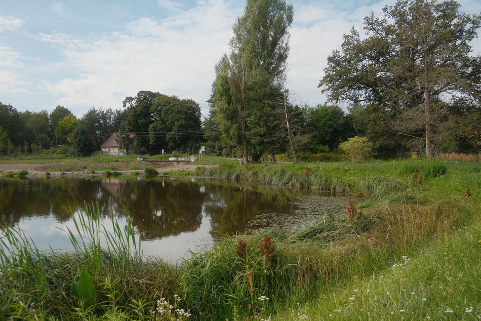 Nazwij park nad Sokołówką w Łodzi! Każdy pomysł się liczy