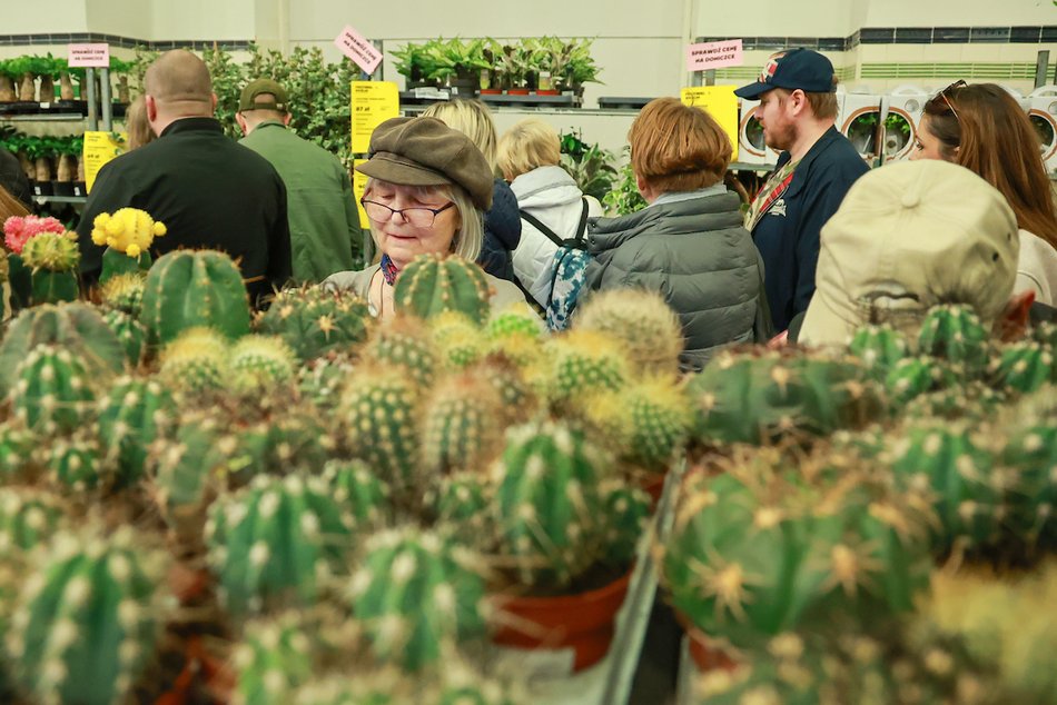Łódź. Wystartował Festiwal Roślin! Wybierasz się?