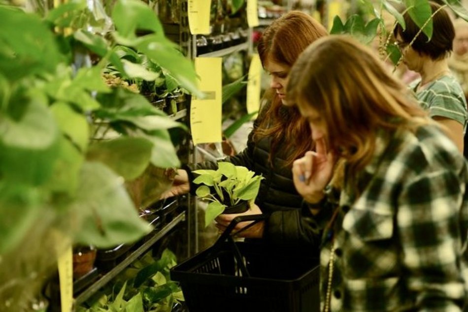 601. Urodziny Łodzi na Piotrkowskiej