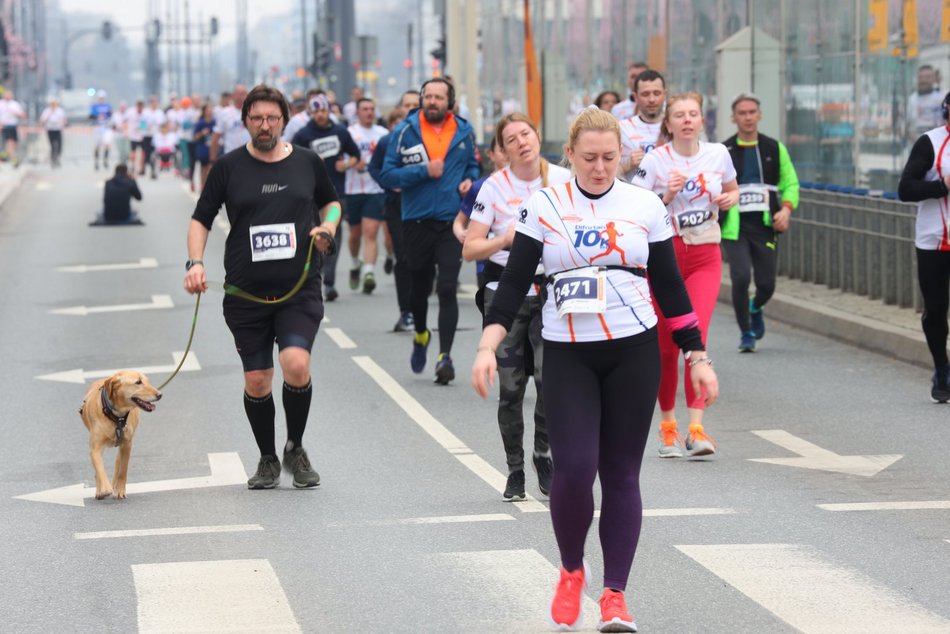 DOZ Maraton 2023. Brałeś udział w biegu? Znajdź się na zdjęciach!