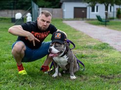 Łódź. Stowarzyszenie „Amstaffy Niczyje” z Łodzi zwalcza stereotypy. Siła i łagodność mogą iść w parze!
