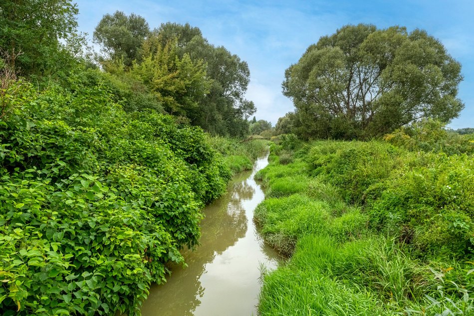 Łódź. Rzeka Łódka pod szczególną ochroną! Przyjęto nowe plany miejscowe