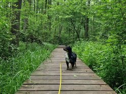 Łódź. To nie Mazury to Łódź. Gdzie znaleźć te wyjątkowe kładki?