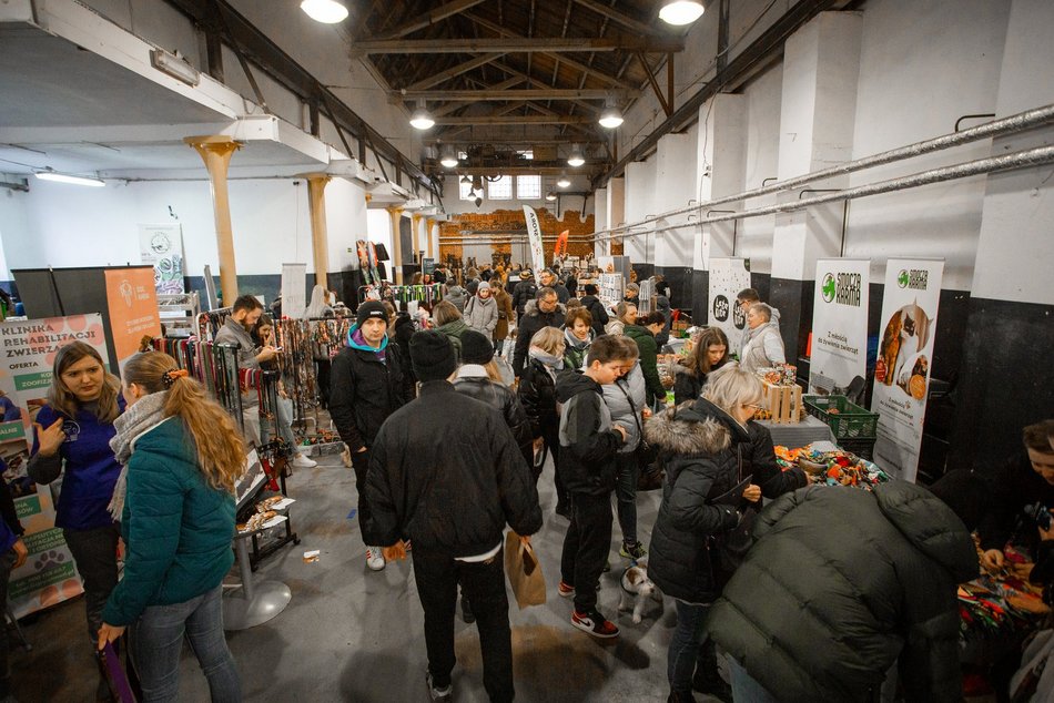 Łódź. Targi dla Zwierzaków w Łodzi. Przy Piotrkowskiej 217 znajdziesz unikalne akcesoria i smakołyki