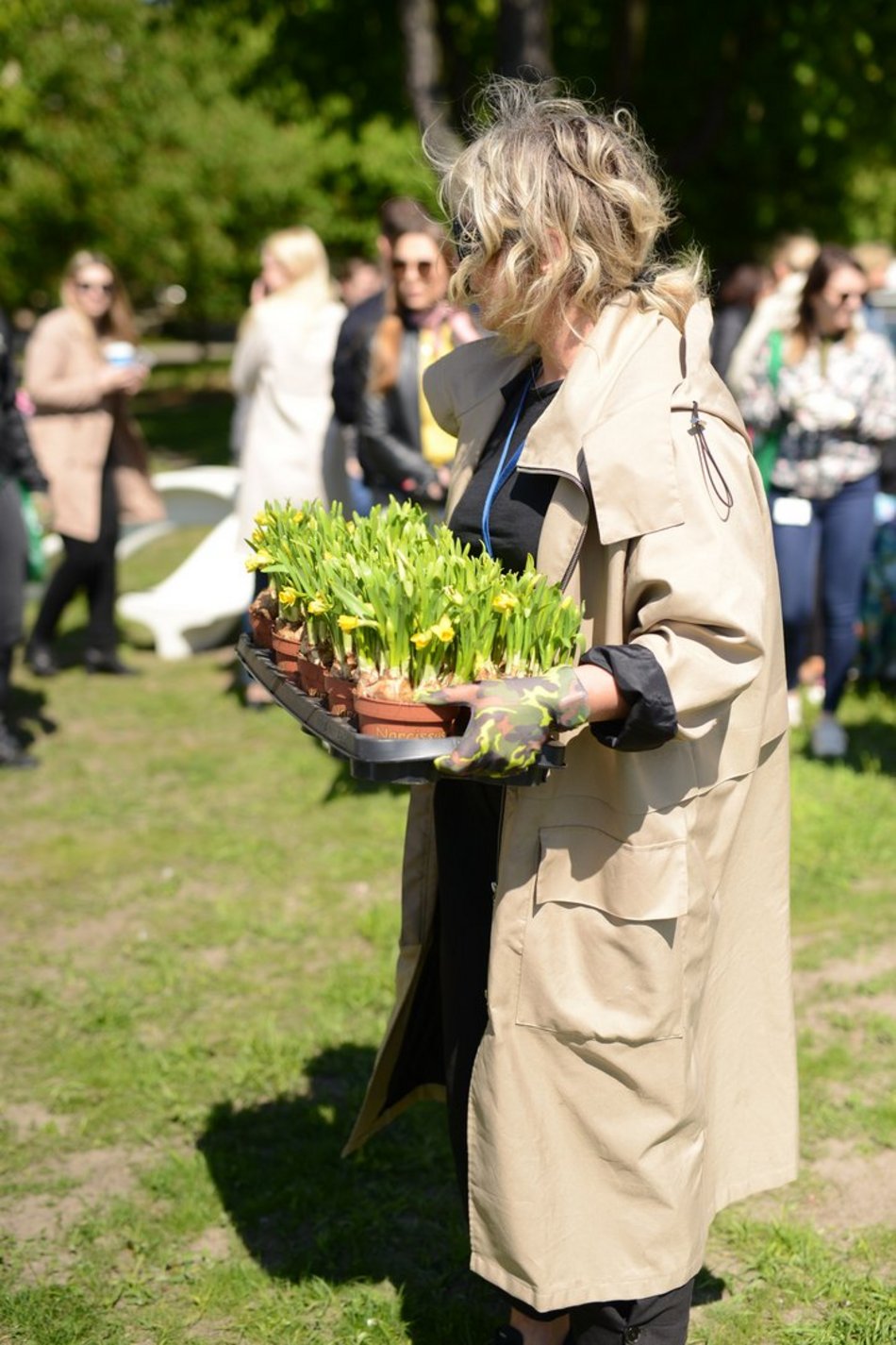 sadzenie zieleni na skwerze
