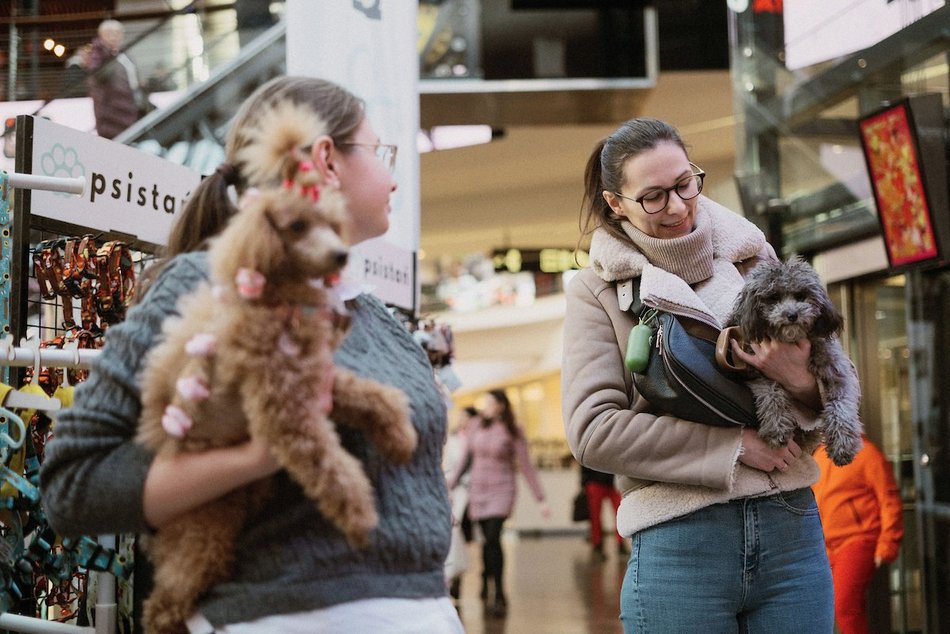 Łódź. Psi Targ w Manufakturze