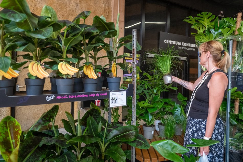 Łódź. Zielona Feta w Orientarium Zoo Łódź. Moc atrakcji na długi weekend