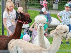 Łódź. Dzień Dziecka w parku na Młynku w Łodzi. Dmuchańce, alpaki i skutery wodne