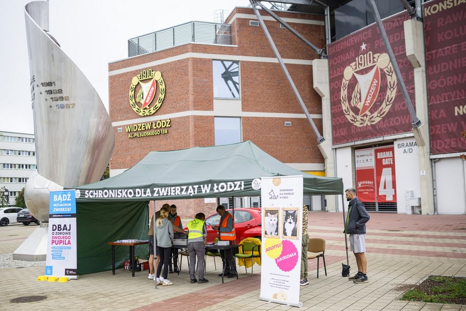 Widzew Łódź dla zwierzaków ze schroniska! Przyjdź na bezpłatne chipowanie i specjalny mecz