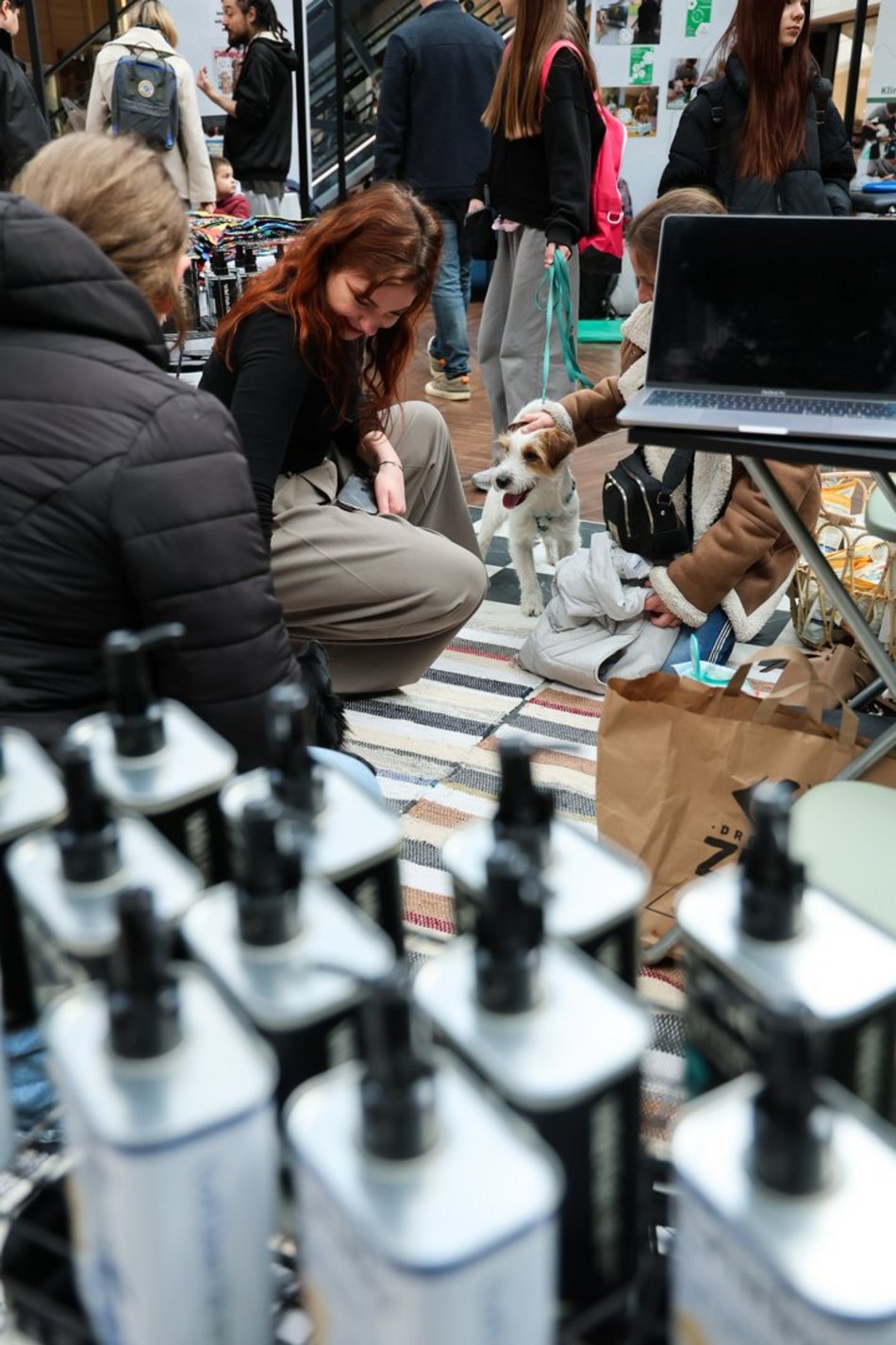 Łódź. Psi Targ w Manufakturze w Łodzi. Każdy miłośnik czworonogów znajdzie tu coś dla siebie
