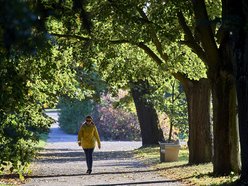 Łódź. Ogród Botaniczny w Łodzi gotowy na wiosenny sezon spacerowy. Kiedy otwarcie?