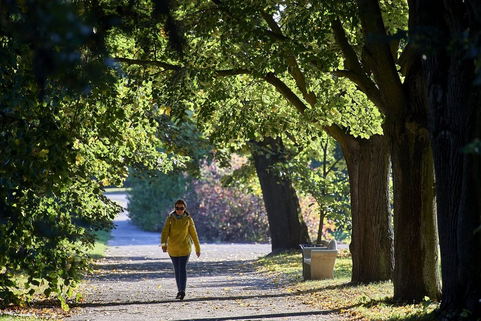 Łódź. Ogród Botaniczny w Łodzi gotowy na wiosenny sezon spacerowy. Kiedy otwarcie?