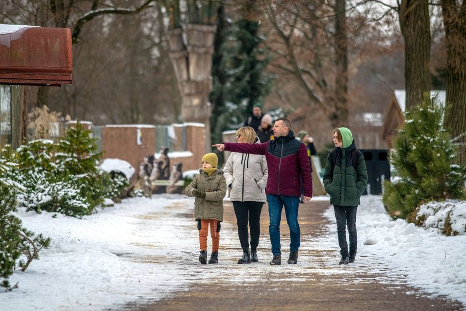 Łódź. Orientarium Zoo Łódź z nominacją w plebiscycie „Zimowe Gwiazdy Travelist 2026”. Oddaj swój głos!