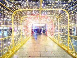 Iluminacje świąteczne w Łodzi. Zobacz najpiękniejsze ozdoby na Piotrkowskiej i placu Wolności