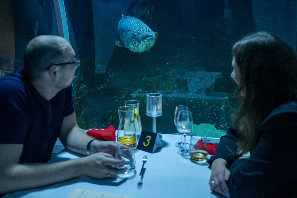 Łódź. Walentynki w Orientarium Zoo Łódź. Przysmaki, koncert na harfie i... zaręczyny