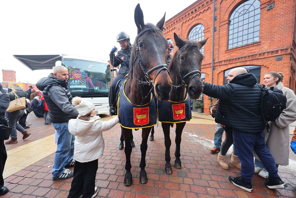 Łódź. Moc atrakcji w Manufakturze na WOŚP 2026 w Łodzi! Wikingowie, strażacy, pokazy i więcej