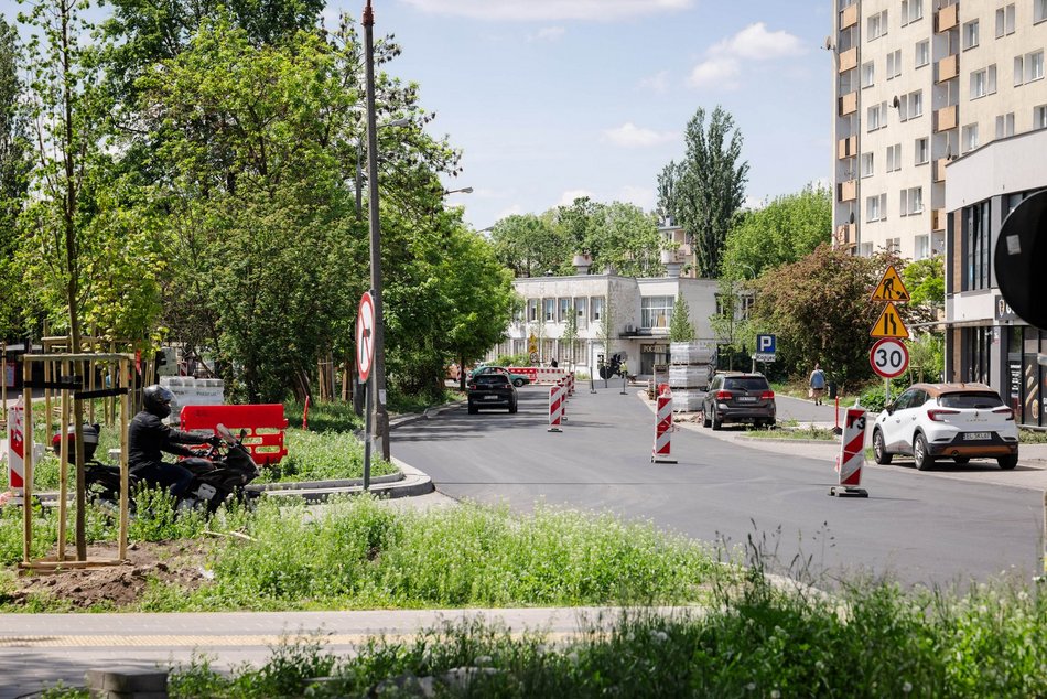 Łódź. Nowe drzewa przy ul. Zaolziańskiej na Górnej w Łodzi