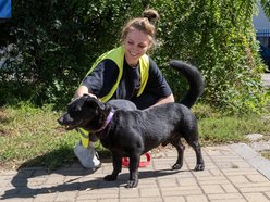 Wielka inwestycja w schronisku w Łodzi. Nowy teren, kojce i przestrzeń edukacyjna