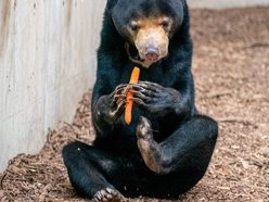 Dzień wagarowicza, Orientarium Zoo Łódź