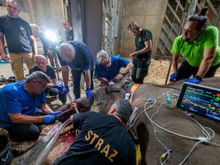 Sensacyjne wieści z Orientarium Zoo Łódź! Operacja słonia indyjskiego udana!