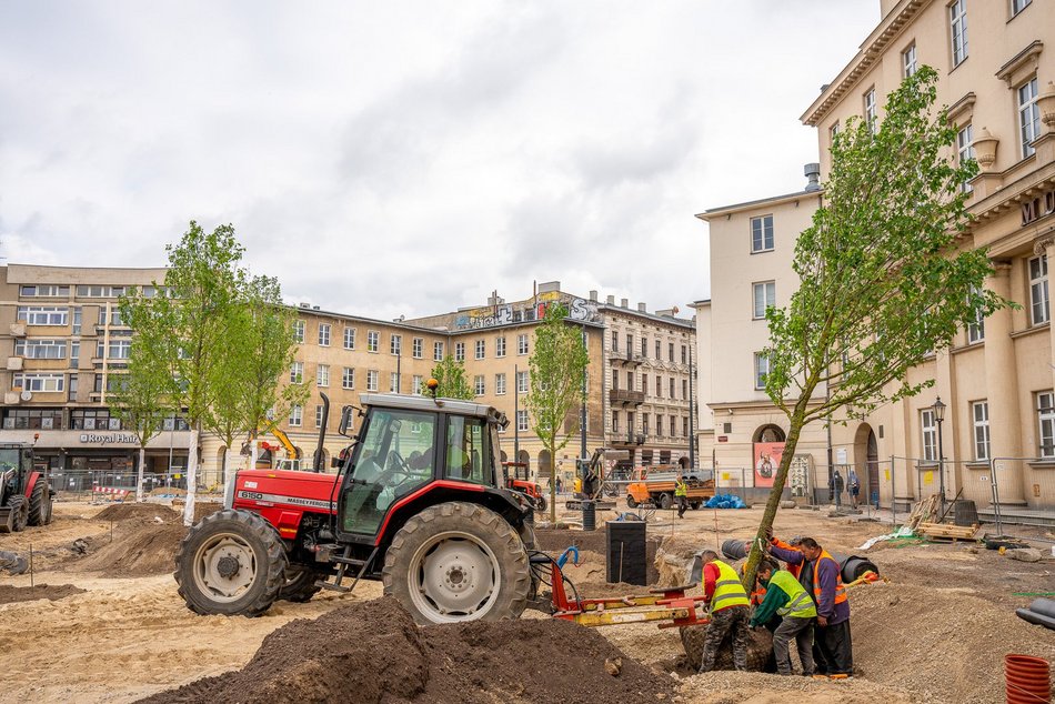 Plac Wolności - sadzenie drzew, plac budowy