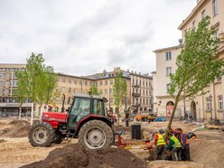 Plac Wolności - sadzenie drzew, plac budowy