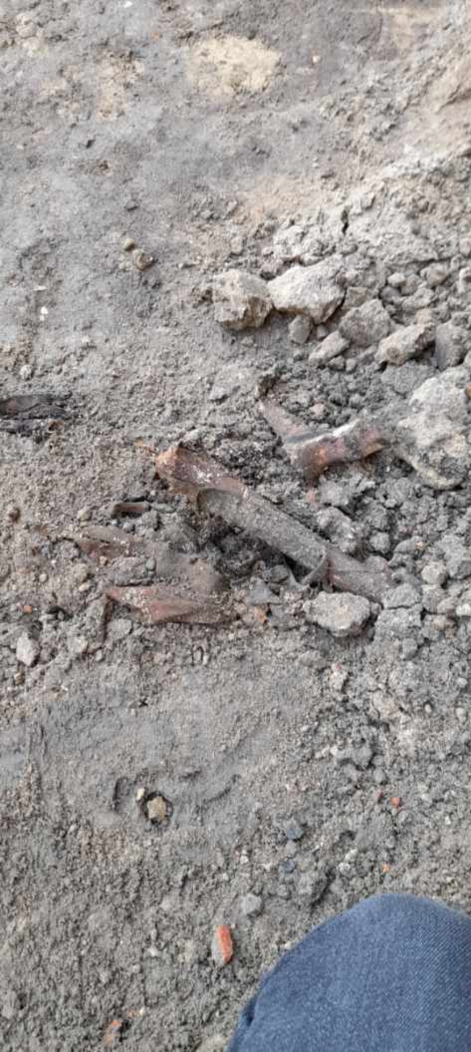 Szkielet znaleziony przy ul. Legionów