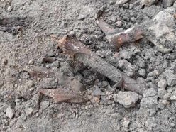 Szkielet znaleziony przy ul. Legionów
