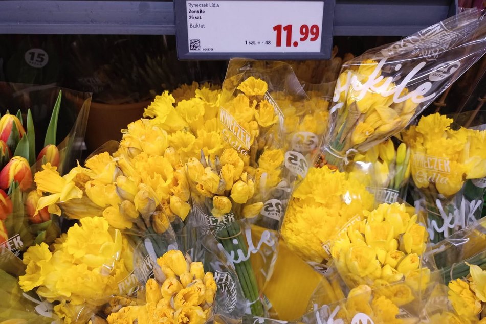 Łódź. Ceny kwiatów w Łodzi. Rynki, stragany, kwiaciarnie i supermarkety