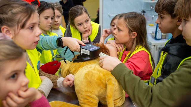 Wolne miejsca na ferie zimowe 2026 w Łodzi. Ile jeszcze dzieci może jeszcze z nich skorzystać?