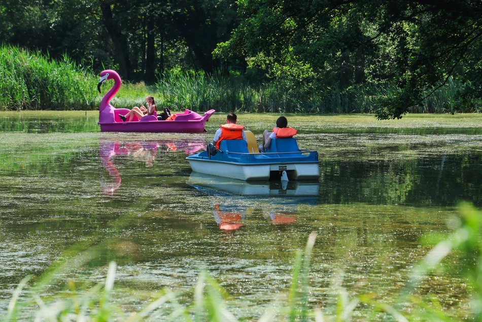 Łódź. Park na Młynku w Łodzi