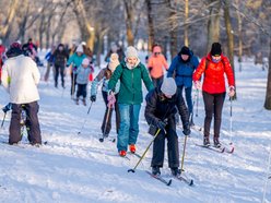 Łódź. Zajęcia z narciarstwa biegowego