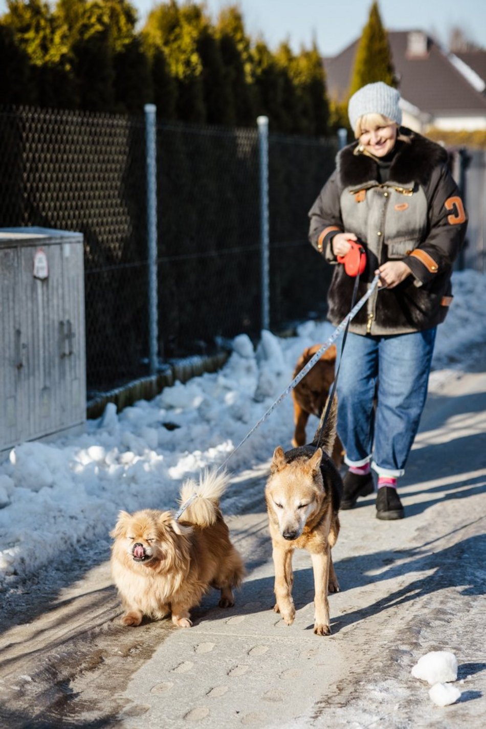 Łódź. Pani Iza i psy adoptowane ze schroniska w Łodzi