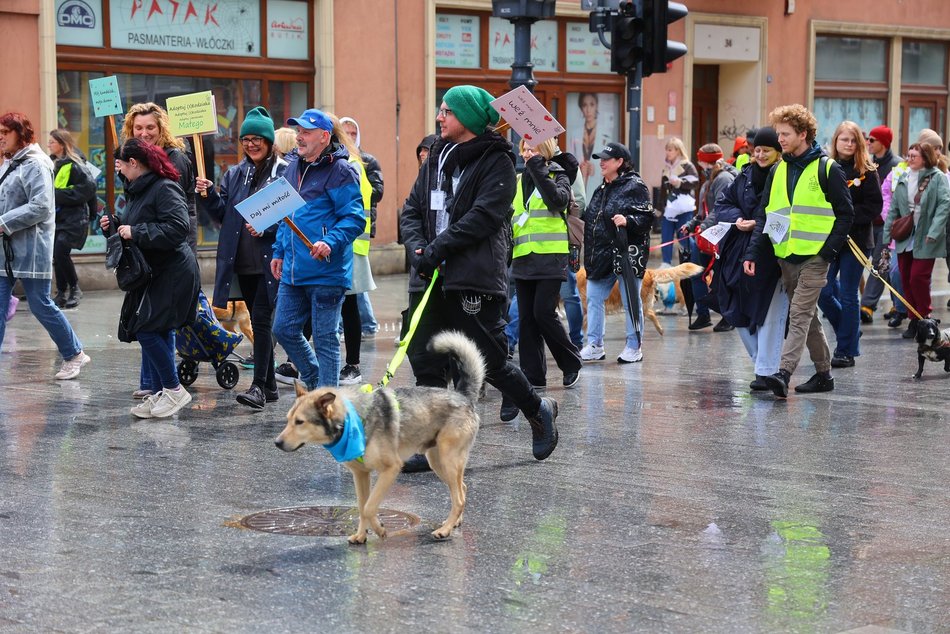 Parada kundelków w Łodzi 2025 przeszła ulicami. Skala słodyczy wysoka jak nigdy!