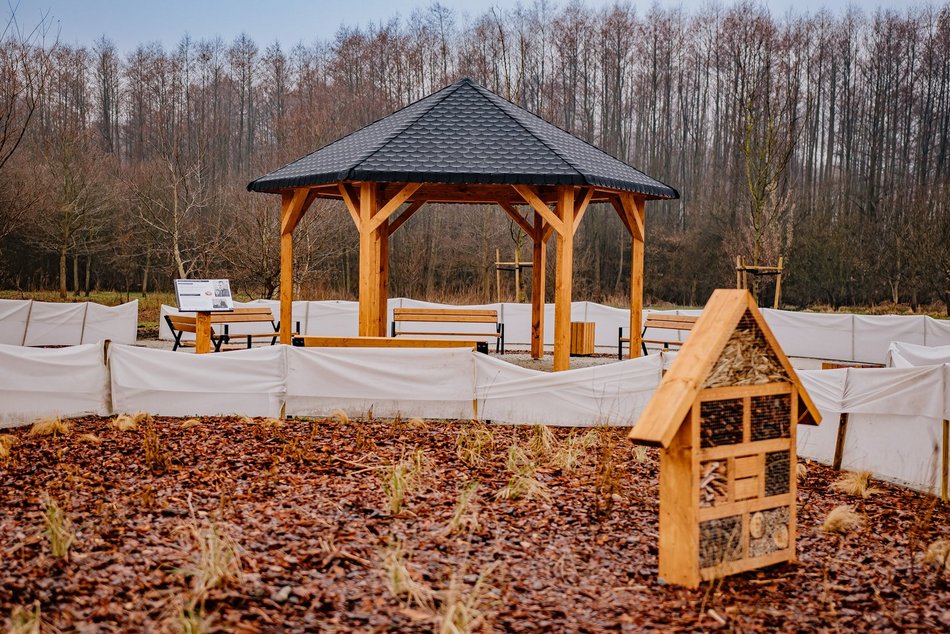 Łódź. Nowości w parku Pileckiego w Łodzi! Fabryka piasku, więcej zieleni i kosze na śmieci