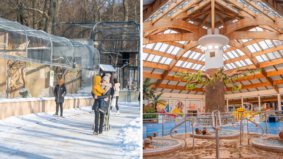 Łódź. Mamy to! Orientarium Zoo Łódź oraz Aquapark Fala zwyciężyły w plebiscycie Zimowe Gwiazdy Travelist!