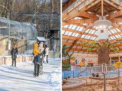 Łódź. Mamy to! Orientarium Zoo Łódź oraz Aquapark Fala zwyciężyły w plebiscycie Zimowe Gwiazdy Travelist!