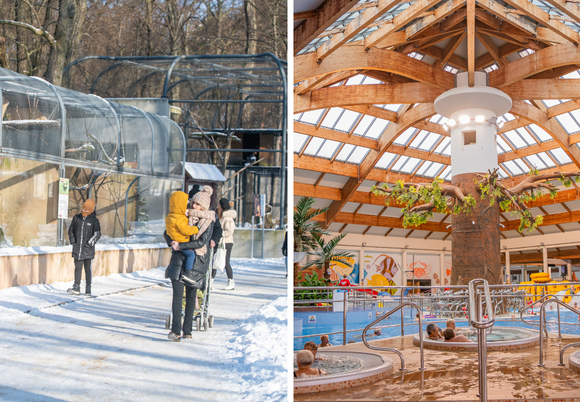 Łódź. Mamy to! Orientarium Zoo Łódź oraz Aquapark Fala zwyciężyły w plebiscycie Zimowe Gwiazdy Travelist!