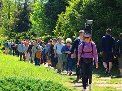 Ogród Botaniczny w Łodzi. Kwitnące rośliny