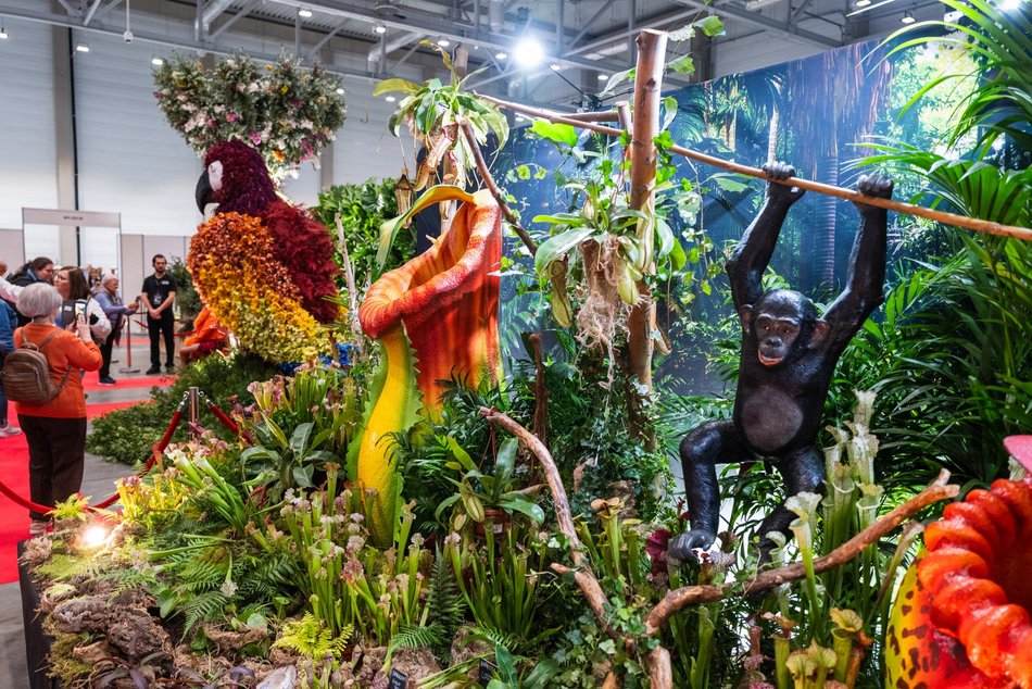 Wystawa Orchidei, Bonsai i Sukulentów w Hali Expo Łódź