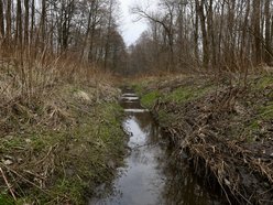 Rzeka Olechówka w Łodzi