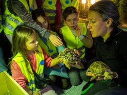 Wolne miejsca na ferie zimowe 2026 w Łodzi. Ile jeszcze dzieci może jeszcze z nich skorzystać?