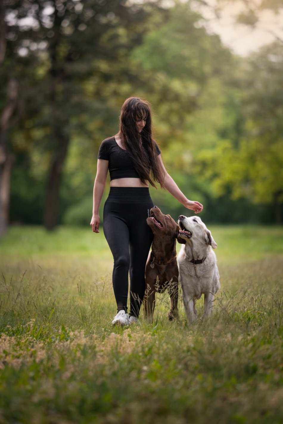 Piesografia zdjęcia zwierzaków