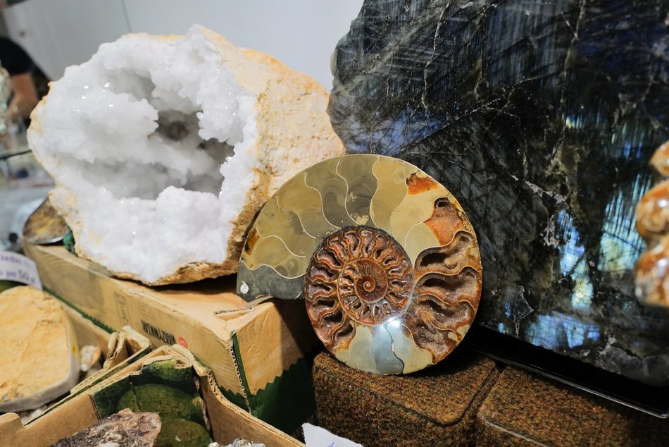 Targi biżuterii w Hali Expo Łódź