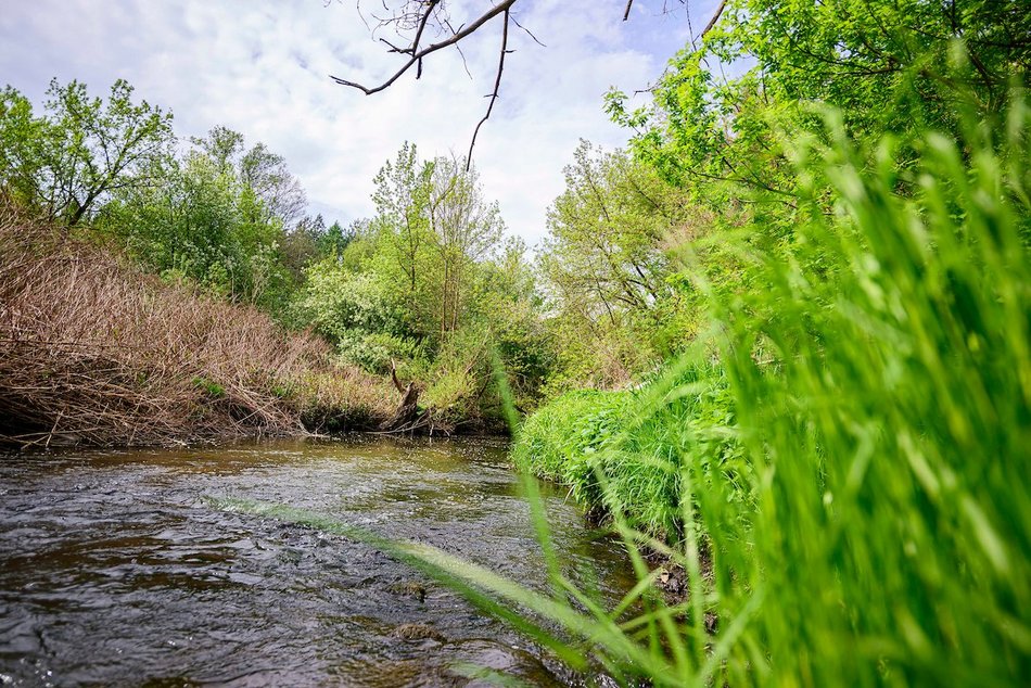 Łódź. Nazwij teren przy rzece Ner w Łodzi! Zielony zakątek w twoich rękach!